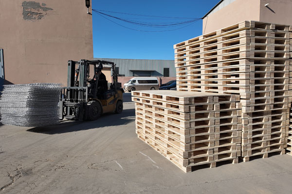 Outbound Palletizing & Loading Yard